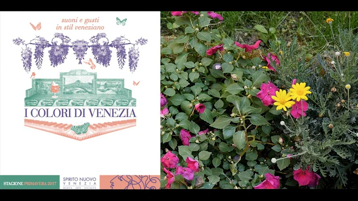 Spirito Nuovo Venezia  | I colori di Venezia