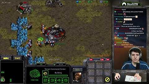 how arty sees marine vs zealots