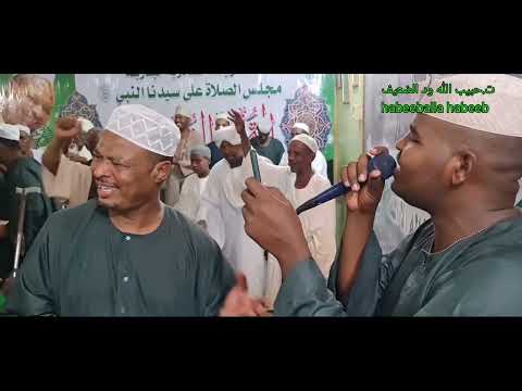 سبحة اللالوبة المتألق يوسف الشيخ والمجموعة مجلس التحفة النورية الجريف شرق