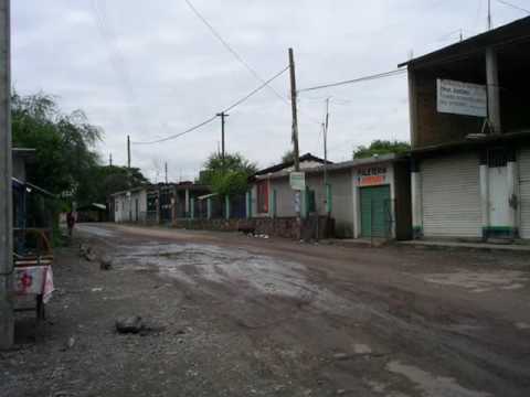 San Lorenzo Gro. Tierra Caliente. Altamirano Gro. ...