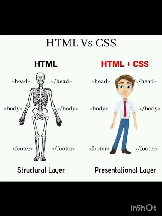HTML vs CSS - YouTube