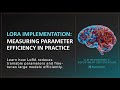 LoRA Implementation: Measuring Parameter Efficiency in Practice