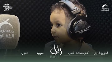 القارئ الشبل: أنس محمد الأمين | سورة: الفيل