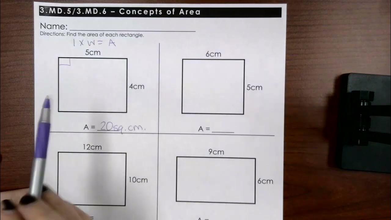 Area of a Rectangle 3rd Grade YouTube