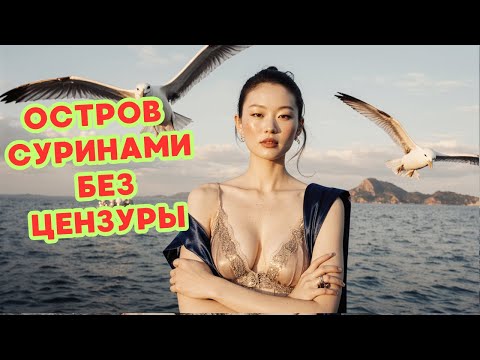 😨 Невероятный Суринам: Страна, где нидерландский язык - язык джунглей!🌴