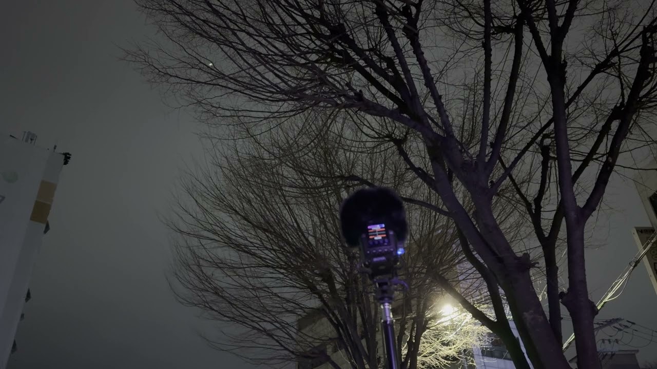 새벽, 도심의 일부 | noise of real life episode 11