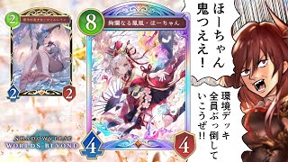 フィルレインのスキンを引くことでほーちゃん伝説開幕！！【シャドバWB/シャドウバースワールズビヨンド】