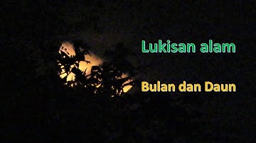 Bulan di malam hari dipadu daun, indahnya. Moon timelapse with Canon sx70hs