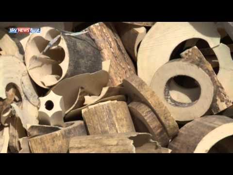 الإمارات أول عملية إتلاف للعاج المهرب