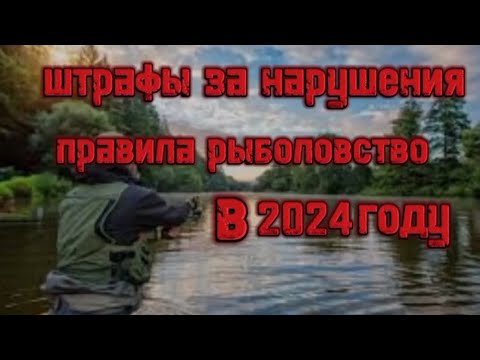 норма вылова  рыбы 2024 штраф за рыбалку 2024 #штраф#рыбалка#сазан#жмых#рыба#сомы
