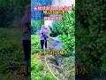 #how.to#top#spraying#pump#super #farming