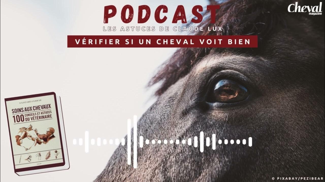 Soins aux chevaux, 100 conseils et astuces du vétérinaire éditions