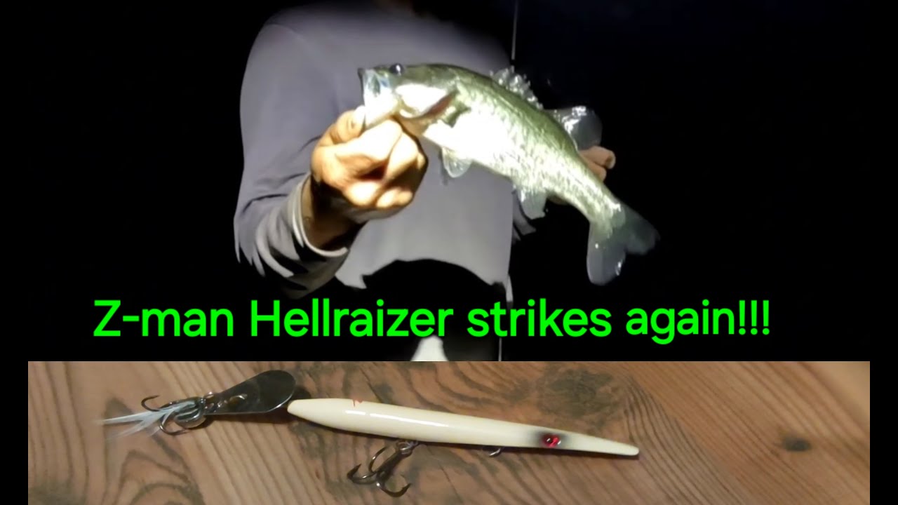 The z-man Hellraizer strikes again!!! Amazing top water lure 