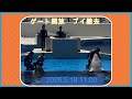 ゲート開放　ブイ撤去　2026.5.18 11:00