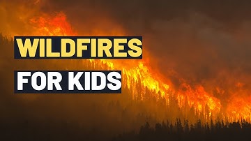 Wildfires | Exploring Wildfires for Kids: Understanding Causes, Effects and Prevention |  Bushfires