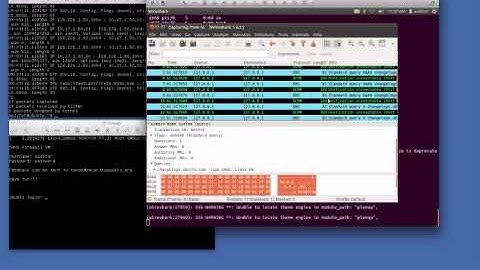 Vulnerability Scanning and Vulnerability Verification