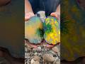Wow, a beautiful yellow boulder with extremely rare green moss fibers worth $9999  #agate #explore