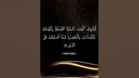 القارئ ابراهيم شرف(2)