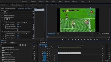 Cómo eliminar logos (Desenfoque o Blur) en Premier Pro