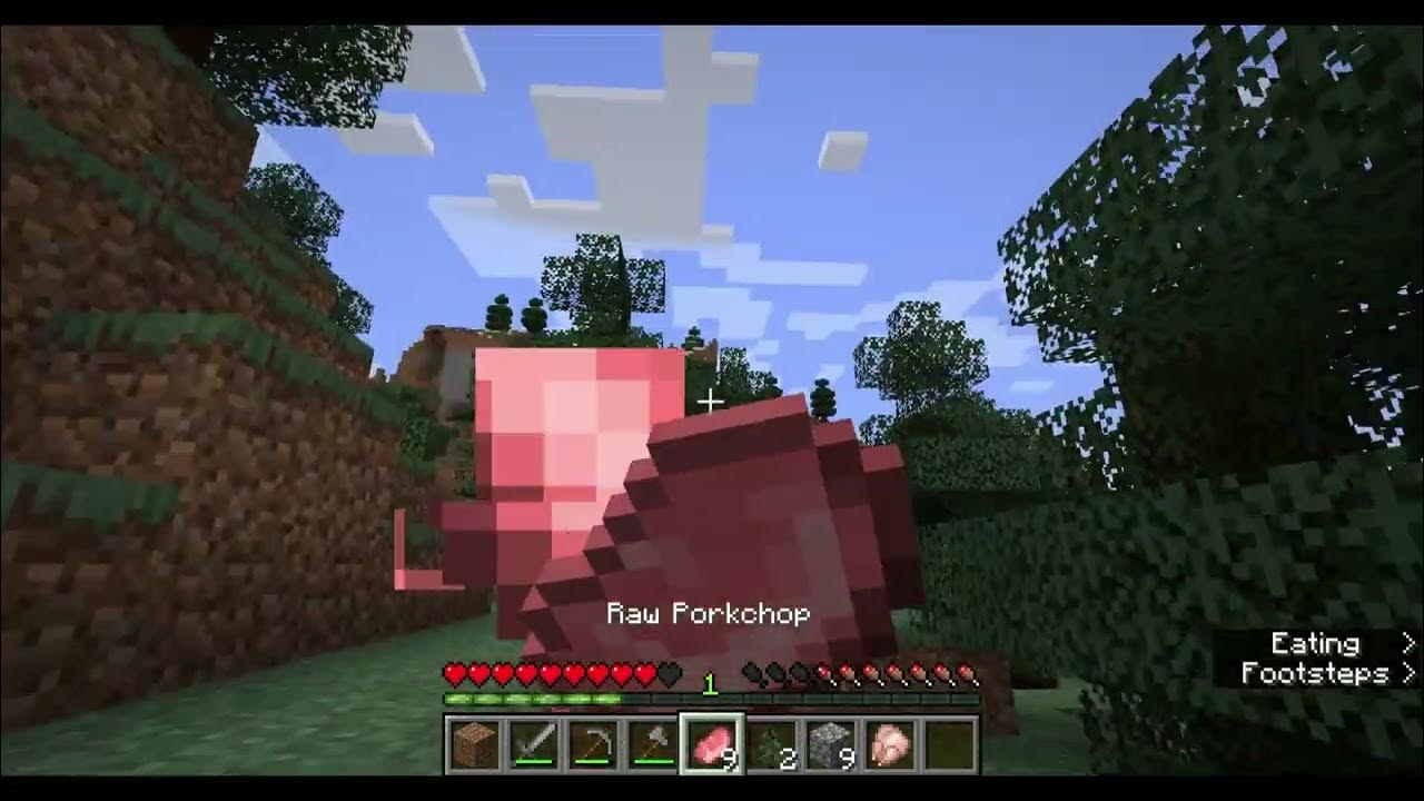 Minecraft Java edition tutorial 1.21 daytime - YouTube