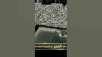 صلاة الفجر من المسجد الحرام الشّيخ صالح بن حميد تيسر من سورة البقرة يوم الأربعاء ١ ربيع الأول ١٤٤٦هـ