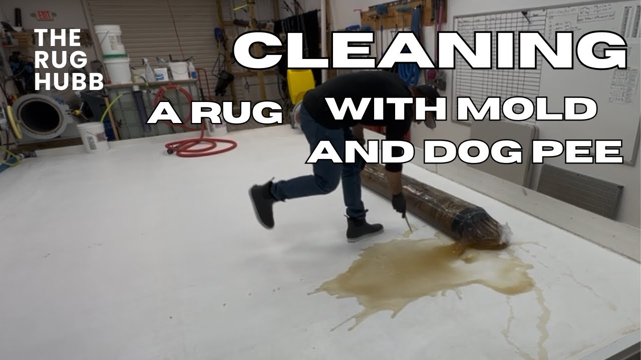 Чистка ковров с неприятным запахом.
