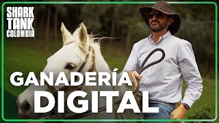 ¿El rey de las vacas en Latinoamérica?  | Shark Tank Colombia