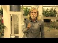Grow Cannabis - Indoor Light Efficiency - By Jorge Cervantes