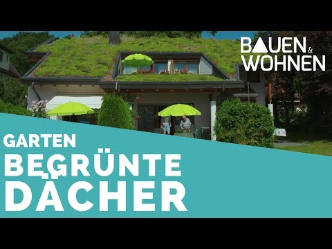 Video: Schwarzes Dach, Grünes Dach