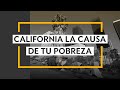 California la causa de tu pobreza | 4 puntos para encontrar el mejor estado para tu empresa