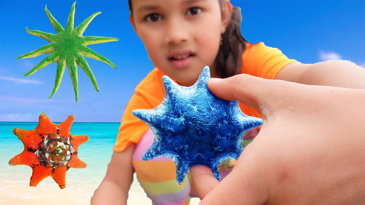 Starfish for Kids with Pronunciation (and with photos) 