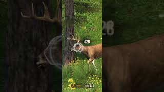 Forest Hunting Game 2025 | Wild Animal Shooting  | ফরেস্ট হান্টিং গেম | जंगल हंटिंग गेम screenshot 1