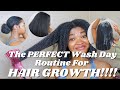 The perfect wash day routine for hair growth  super detailed