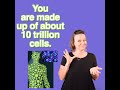 Body-10 trillion cells