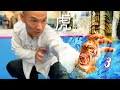 Tiger Kung Fu For Beginners Tiger Basics Combo Self Defense Conditioning 虎拳 Tiger Kung Fu For Beginners Tiger Basics Combo Self Defense Conditioning 虎拳
