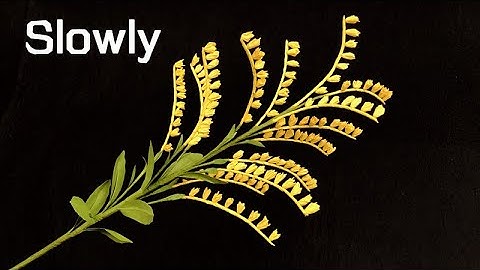 ABC TV | How To Make Filler Paper Flowers #11 (Slowly) - Craft Tutorial