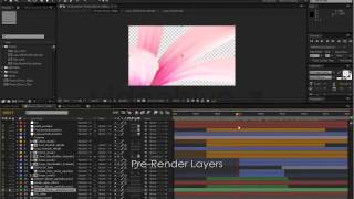 After Effects Project Files   Flower Bloom Logo   VideoHive