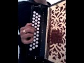 Concertina kevin pires  andalouse 