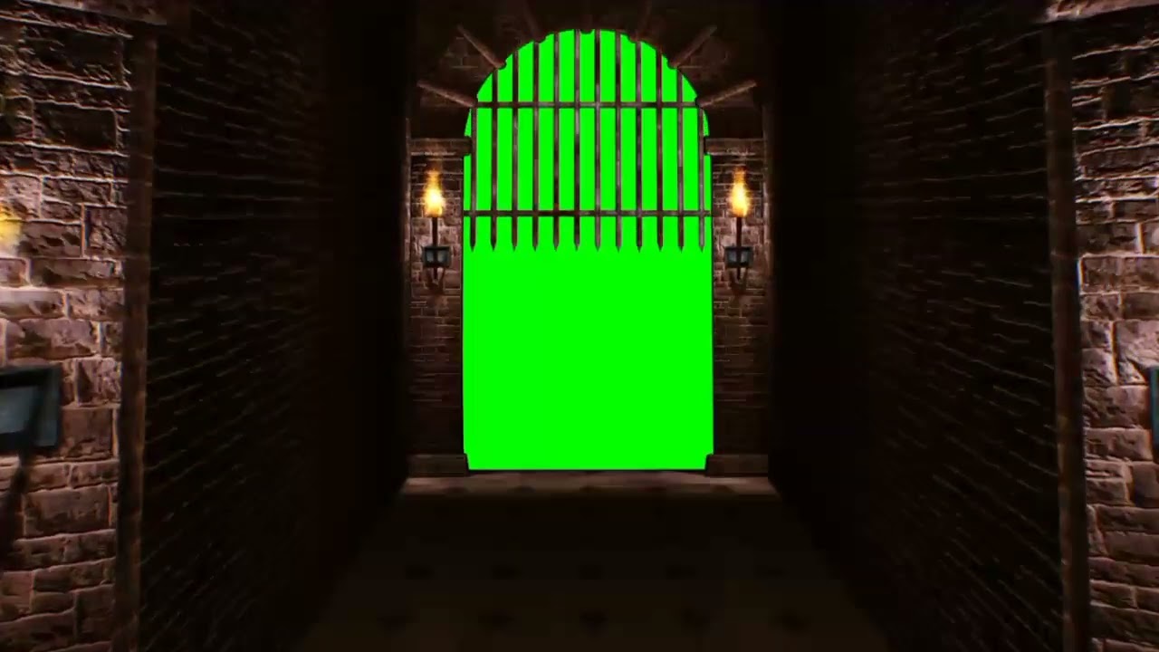 Prison break green screen animation📸❣