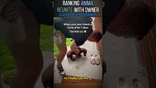 This is the funniest compilation of the week—epic fails, silly moments, and pure chaos   (2)