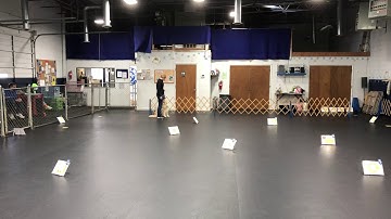 AKC Virtual Rally Intermediate course #2