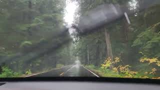 fall drive- Mount Rainier Area...background music 