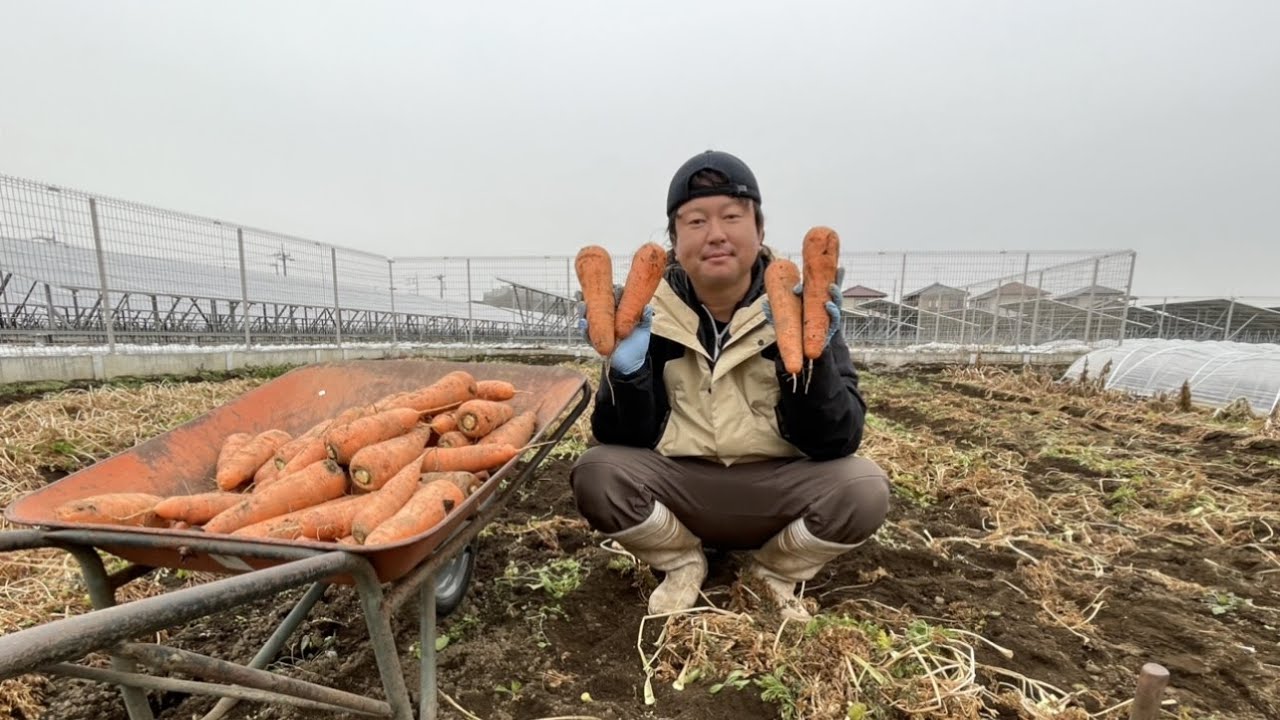 Vegetables that grow strong even without mulch or tunnels. They
