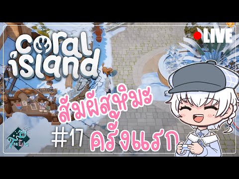 #16 Coral Island | หิมะขาวโพลนไปทั้งเมือง