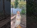 ikan mas #mancing #fishing #mancingmania #mancingikancantik #ikanmas #ikanhiaskoki #ikansungai