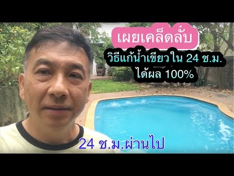 เผยเคล็ดลับวิธีแก้น้ำเขียวภายใน 24 ช.ม. ได้ผล 100%