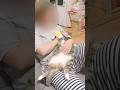 甘えるにゃんこ