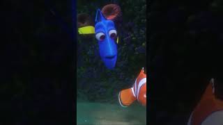 Ocean Search For A Missing Friend Finding Dory Disney Kids