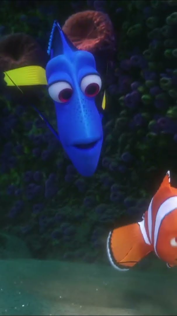 ? Ocean Search for a Missing Friend! | Finding Dory | Disney Kids