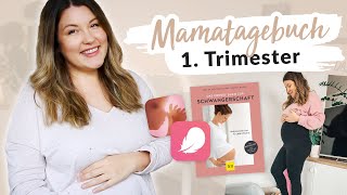 1. Trimester mit Zwillingen: Beschwerden, Ängste, Gewicht, Ernährung &amp; Tipps (Mama-Tagebuch)